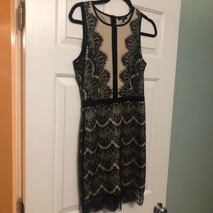 Lace Wedding guest dress